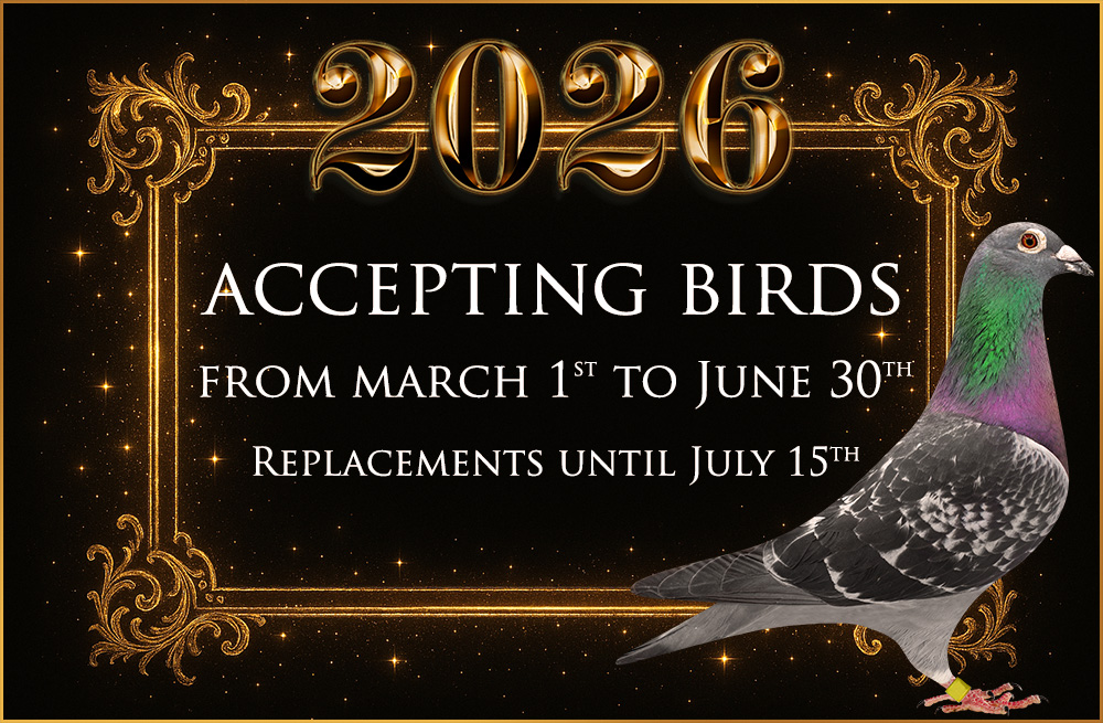 accepting birds