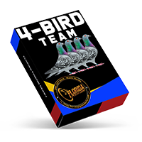 4-Bird Team