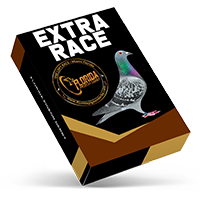 Extra Race
