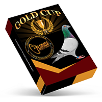 Gold Cup